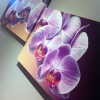 Модульная картина «Орхидея» - печать на холсте, натяжка на подрамник