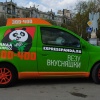 Световой гребешок-плавник на авто «Панда-Экспресс»